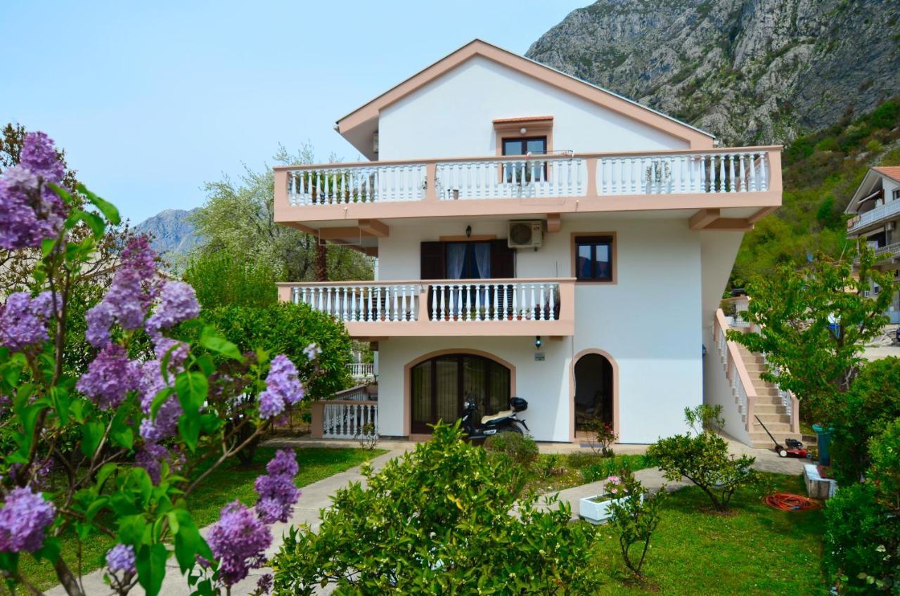 Apartments Blue Lagoon Kotor Exterior photo