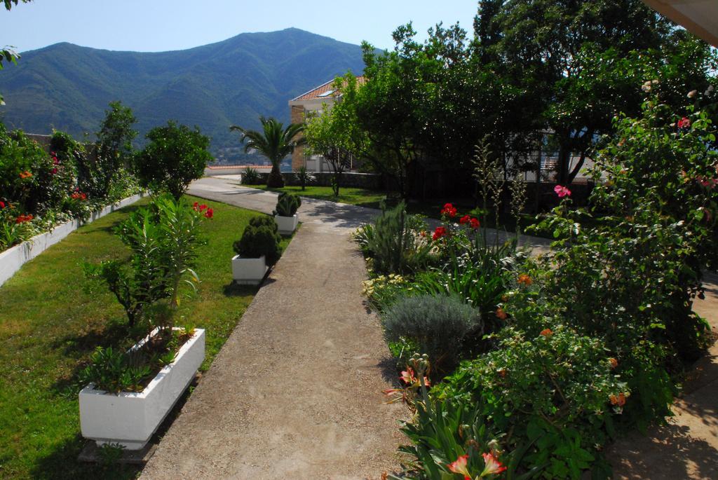 Apartments Blue Lagoon Kotor Exterior photo