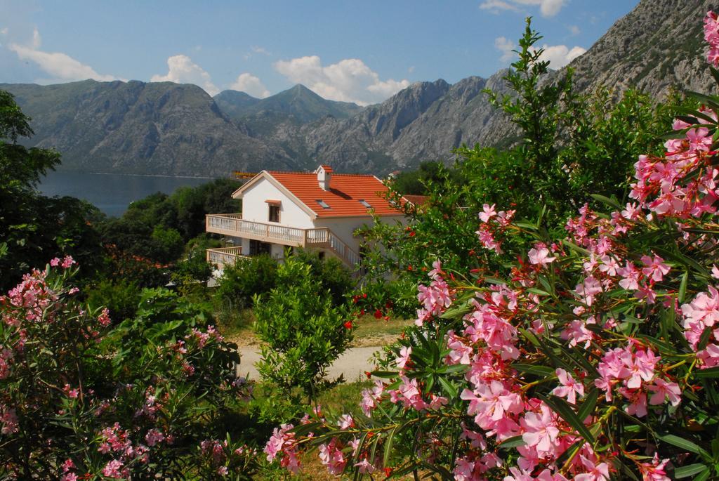 Apartments Blue Lagoon Kotor Exterior photo